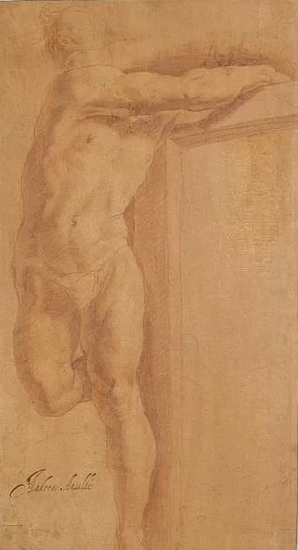 Studio di una figura - attribuito